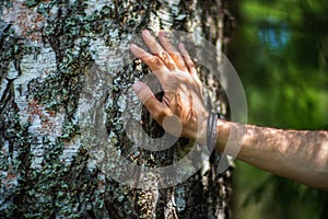 A man& x27;s hand touch the tree trunk close-up. Bark wood.Caring for the environment. The ecology concept of saving the