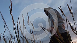 A man's hand touches the ears of grass, gently running along the tops. The concept of unity of man with nature. Hand