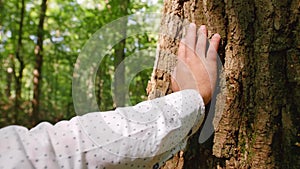 A man`s hand touches a tree`s close-up, bark of a tree is close-up. Close up shot.