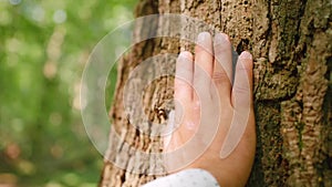 A man`s hand touches a tree`s close-up, bark of a tree is close-up. Close up shot.