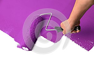 Man`s Hand Using Painr Roller with Purple