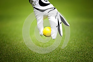 Man`s hand in a white glove putting a golf ball in a golf course