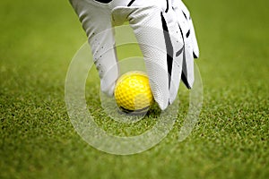 Man`s hand in a white glove putting a golf ball in a golf course