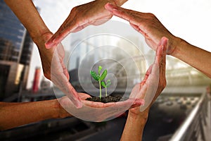 Man`s hands around young green sprouts isolated on blurred city background with soft sunlight