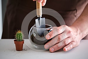 Man's hands filling a crystal vase pot with soil to repot a mini cactus.