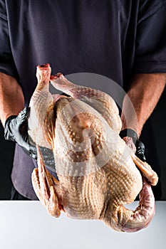Man`s hands hold a large fresh turkey for a holiday dinner