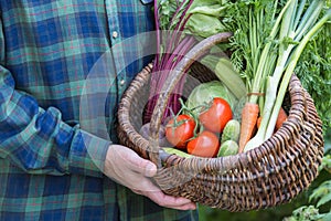 Man`s hands holding basket with organic vegetables, healthy food