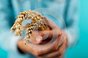 Man`s hands holding wheat spikelets