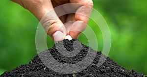 Man`s hands plant a seed in to the ground hill on green background. Closeup side view