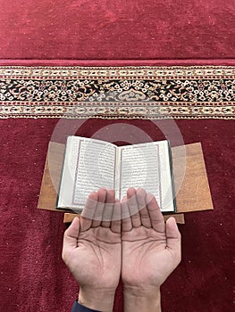 A man\'s hands praying against the background of the Koran and a red carpet