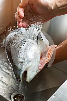 Man's hands wash a fish.