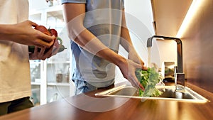 Man s hands washing lettuce in modern kitchen sink before cooking, preparing a meal. Woman helping him, holding other