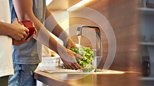 Man s hands washing lettuce in modern kitchen sink before cooking, preparing a meal. Woman helping him, holding other