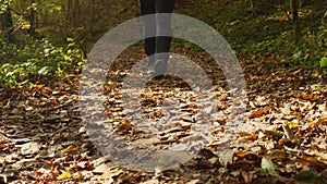 A man's legs in sweatpants and sneakers walk through an autumn forest. The path is strewn with fallen yellow leaves