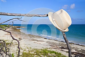 A man`s straw hat hangs on a branch against the beautiful sea.