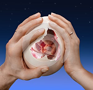 Man's and woman's hands holding a baby inside a big egg