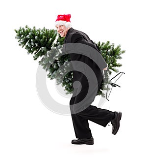 Man in Santa's hat carry bald Christmas tree