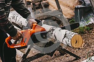 Man sawing a birch trunk with a chainsaw in the forest. Forester at work