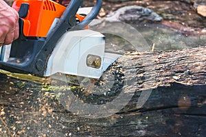 Man is sawing a chain saw