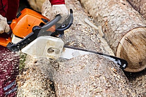 Man sawing a log in his back yard