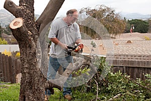 Man sawing tree branches