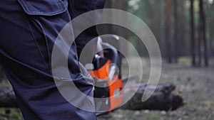 Man saws logs with a chainsaw in the forest