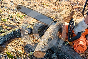 Man saws trees for firewood with an electric chain saw, close-up