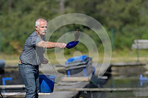 Man scattering food into commercial fish enclosure