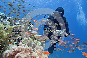 Man scuba diver near beautiful coral reef surrounded with shoal of coral fish