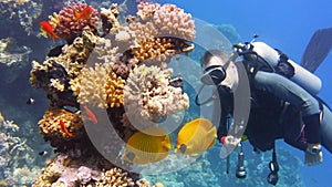 Man scuba diver near coral reef with beautiful corals and yellow butterfly fish