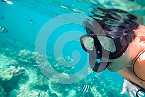 Man scuba diving explore coral and fish in lipe sea