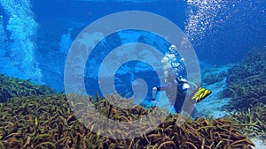 Man scuba diving in a spring in florida