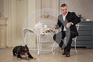 Man seatting at the table and looking at the watch. Near leas a dog pit bull or black Staffordshire Terrier in vintage interior