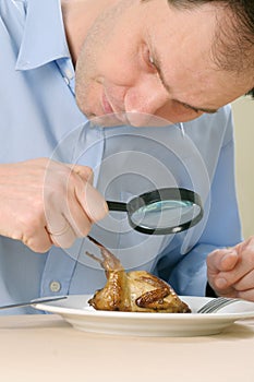 Man seeking food on plate photo