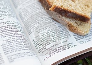 Man shall not live by bread alone but by every word that proceeds from the mouth of God photo
