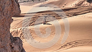 A man in shaman's clothes walks on the sand of the desert with a staff in his hands