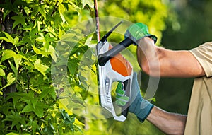 A Man Shaping Garden Trees Using Hedge Trimmer photo