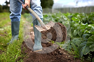 Man with shovel digging garden bed or farm