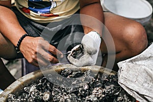A man shucking a fresh oyster with knife and stainless steel mesh oyster glove for sale at the seafood market.Ready for eat or ser