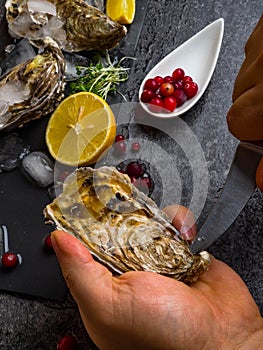 A man shucking fresh oysters with his bare hands on stone table, lemon slices, micro greens, ice, cranberries on table