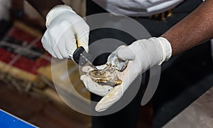 Man Shucking Oysters in Restaurant