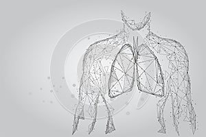 Man silhouette healthy lungs connected dots low poly wireframe. Online doctor World Tuberculosis day