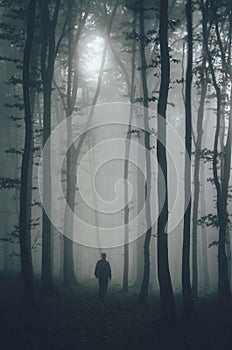 Man silhouette in mysterious Halloween forest