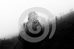 A man silhouetted against a hill on a foggy day. With a black and white edit