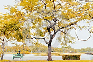 A man sitting alone on a bench looking around thoughtfully.
