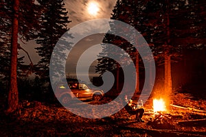 A man sitting at campfire in a tourist camp in a fir forest near the sea