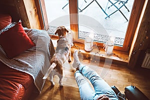 Man sitting in comfortable chair opposite big window in cozy country home and his beagle dog watching in wide window. Countryside