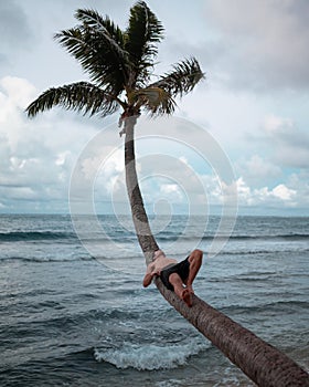 Man Sitting on Curved Palm Tree