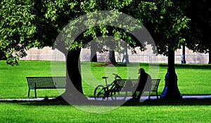 Man Sitting on Park Bench with Bike Silhouette Green Grass and Trees