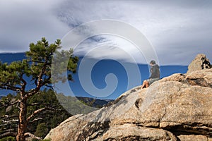 Man sitting on a rock in the Rocky Mountains
